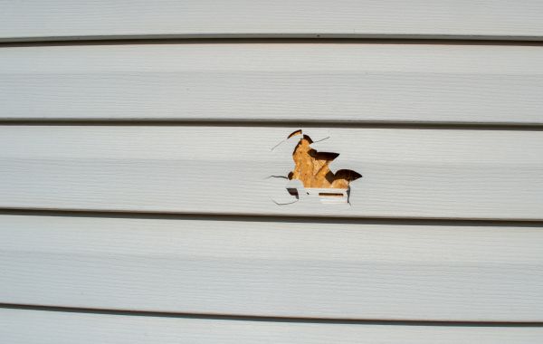 Siding Hole Patching in Blue Springs